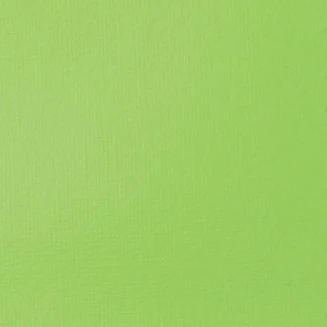 Liquitex Basics 22ml Acrylic 840 Brilliant Yellow Green Series 1