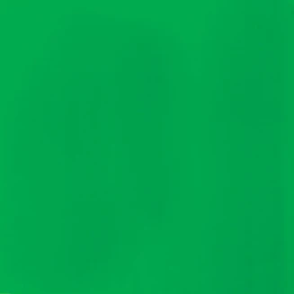 Liquitex Basics 22ml Acrylic 985 Fluorescent Green Series 2